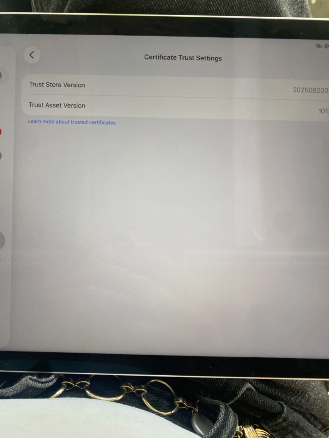 Apple iPad Air (5th generation) 256 GB - Silver - photo 4