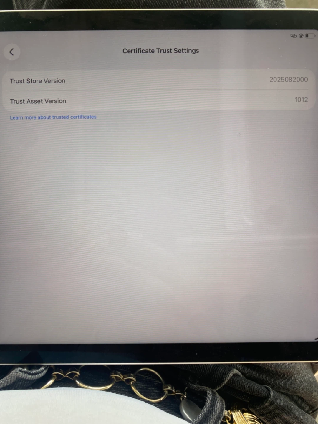 Apple iPad Air (5th generation) 256 GB - Silver - photo 5