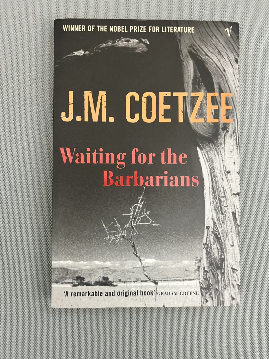 J.M. Coetzee - Waiting for the Barbarians