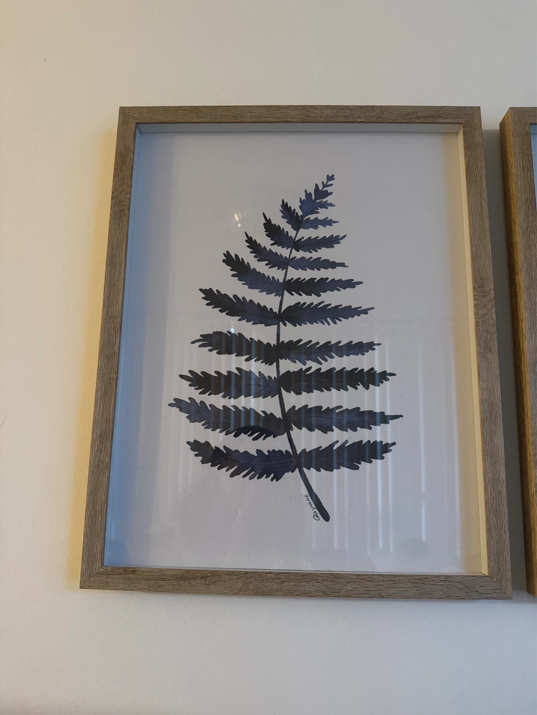Set of 2 Framed Fern Prints - photo 2
