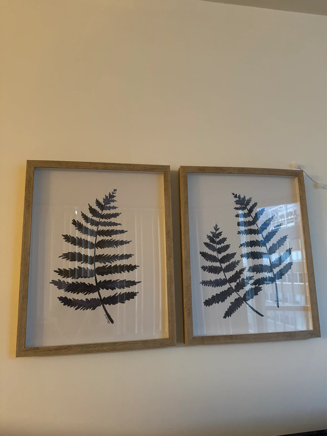Set of 2 Framed Fern Prints - photo 4