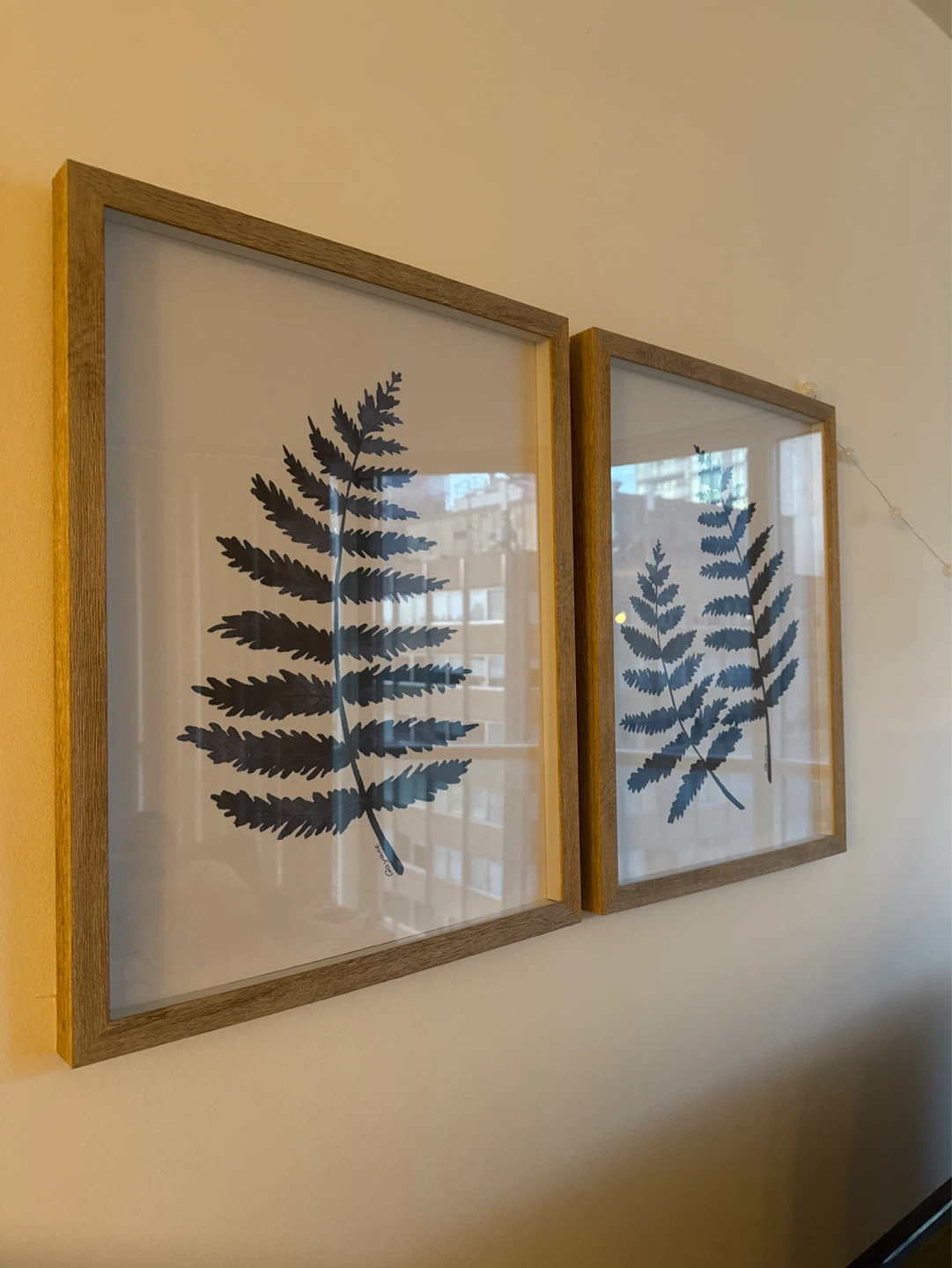 Set of 2 Framed Fern Prints