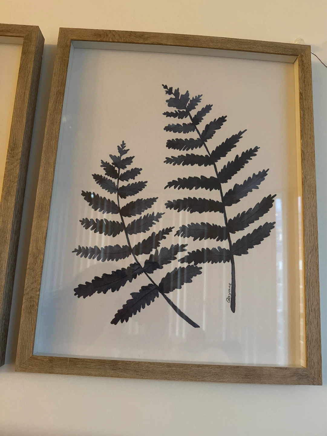 Set of 2 Framed Fern Prints - photo 3
