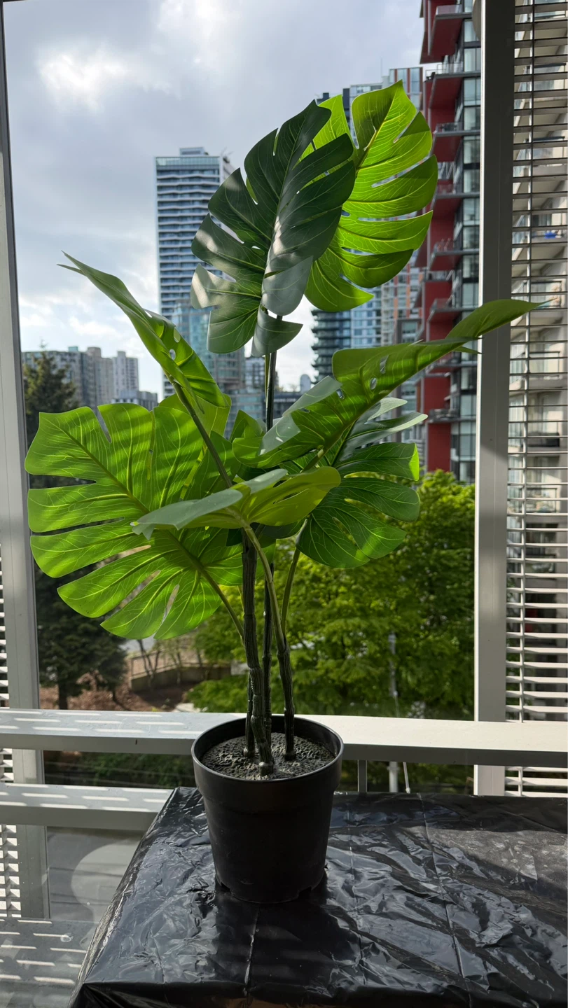 Artificial Monstera Plant in Black Pot - photo 2