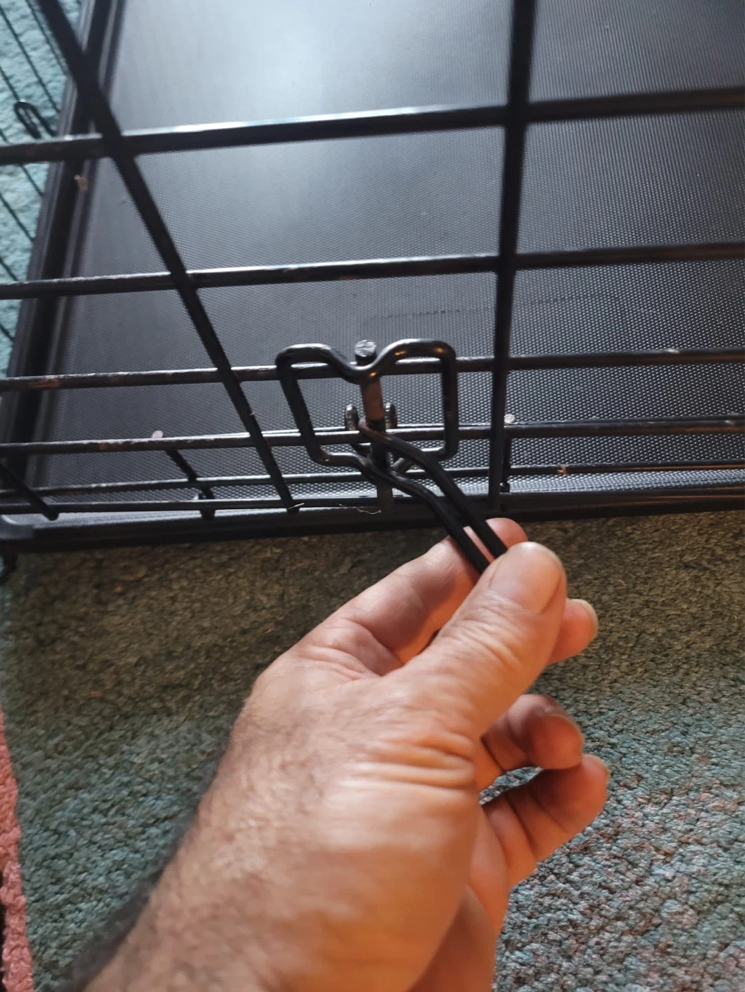 Top Paw Single Door Folding Wire Dog Crate with Tray - photo 5