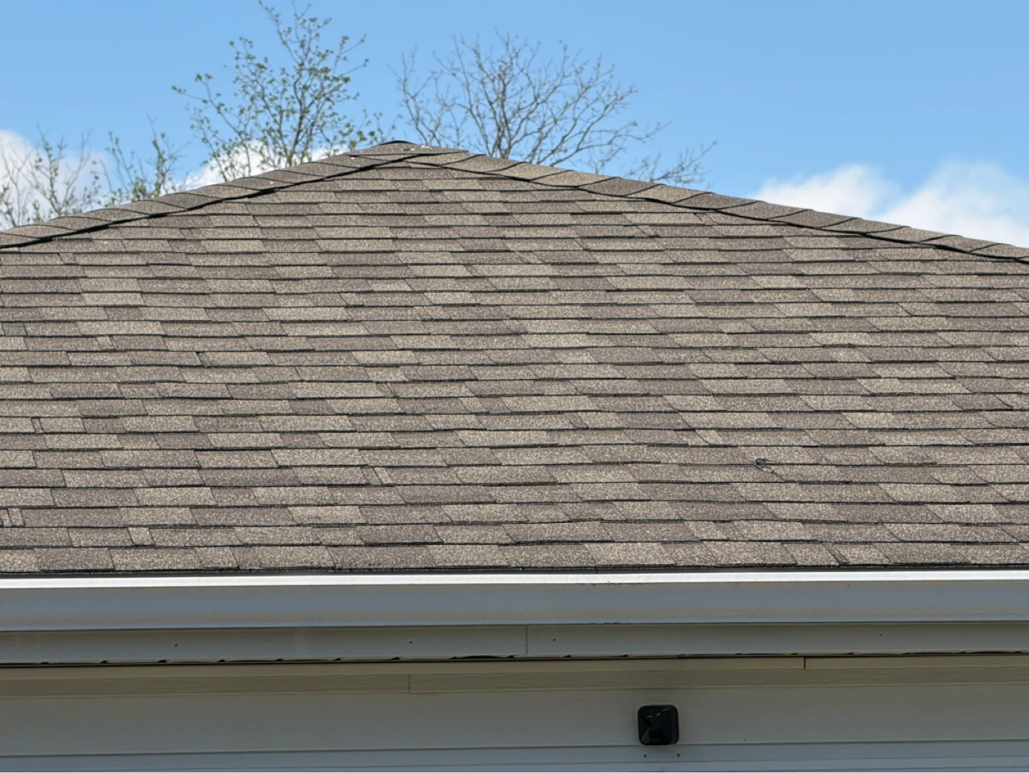 Cambridge Shingles - photo 2