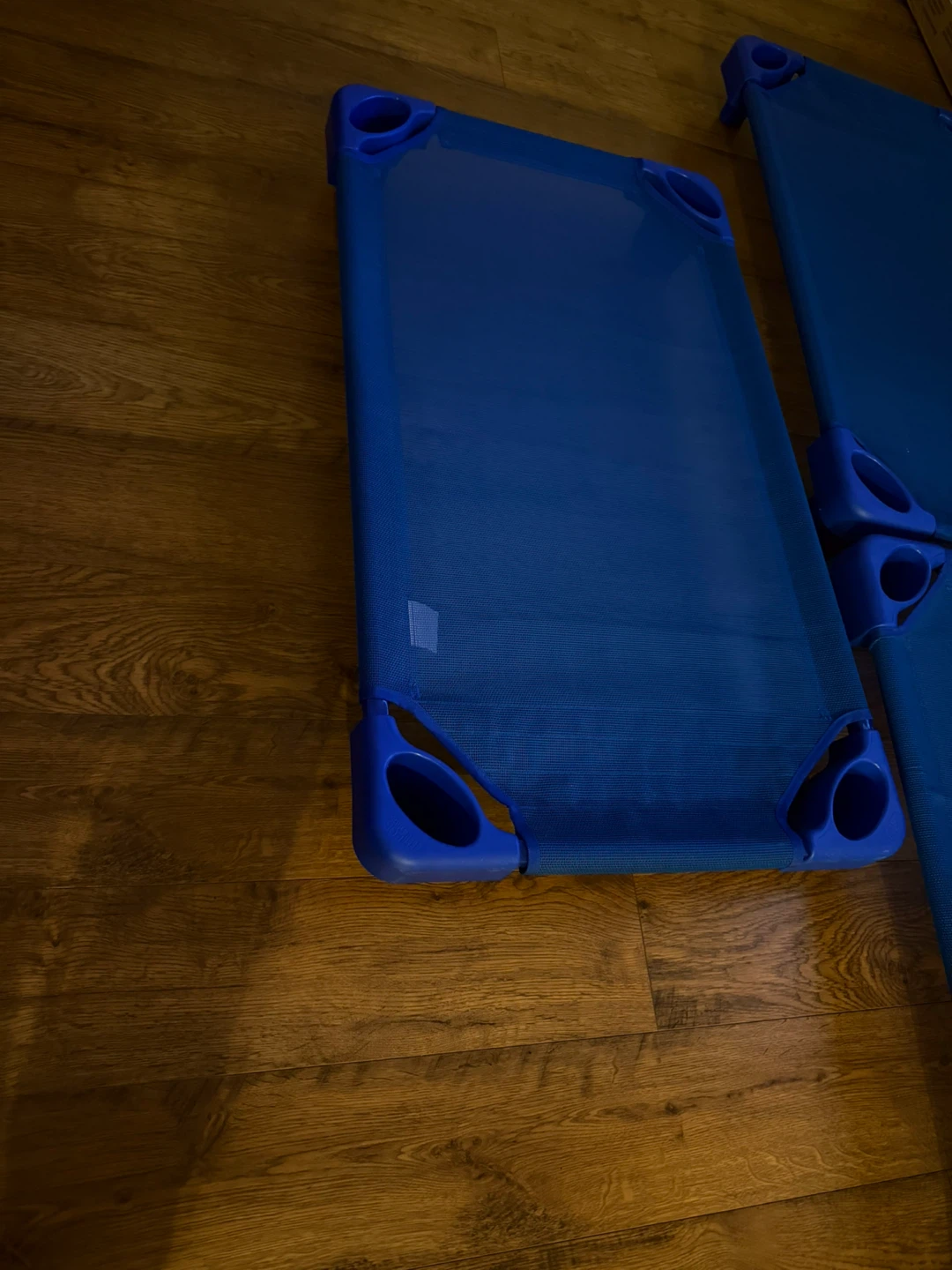 Blue Toddler Cots - Set of 6