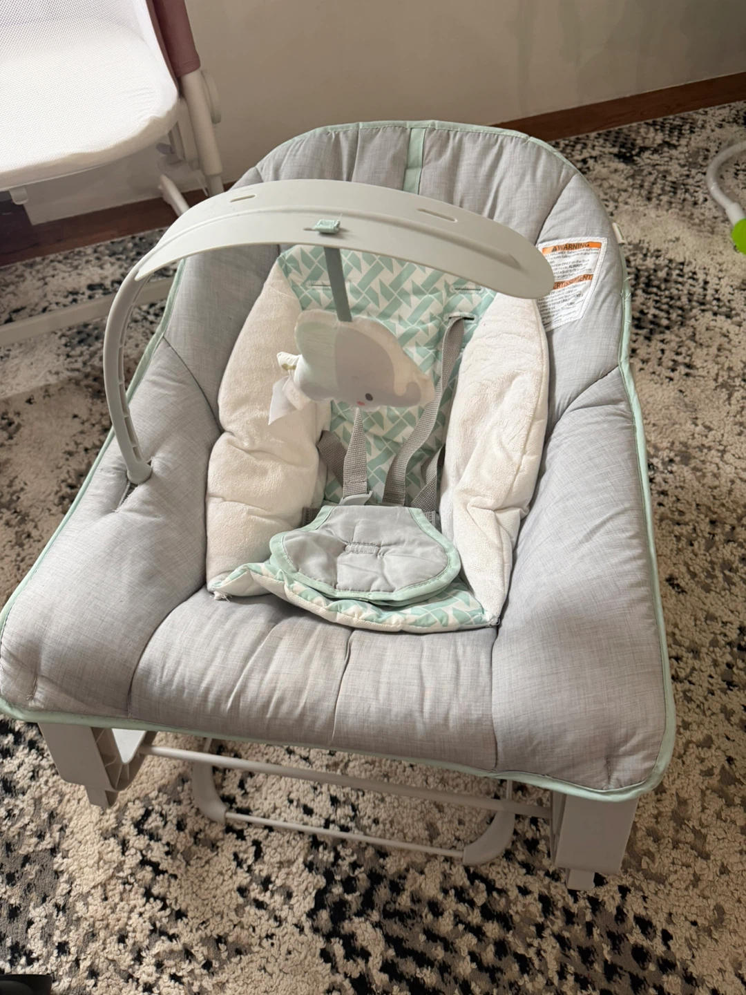 Infant Rocker Bouncer Seat