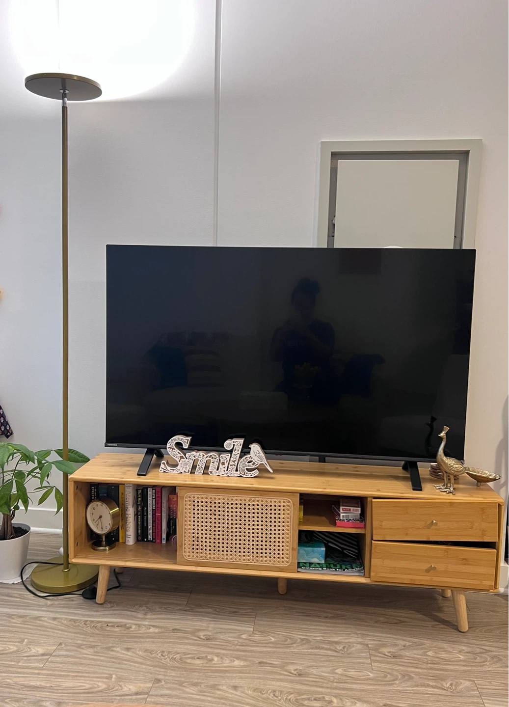 Braniia TV Stand for TVs up to 65" - photo 4