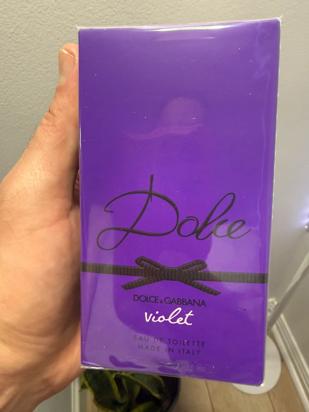 Dolce & Gabbana D&G Violet Eau de Toilette for Women