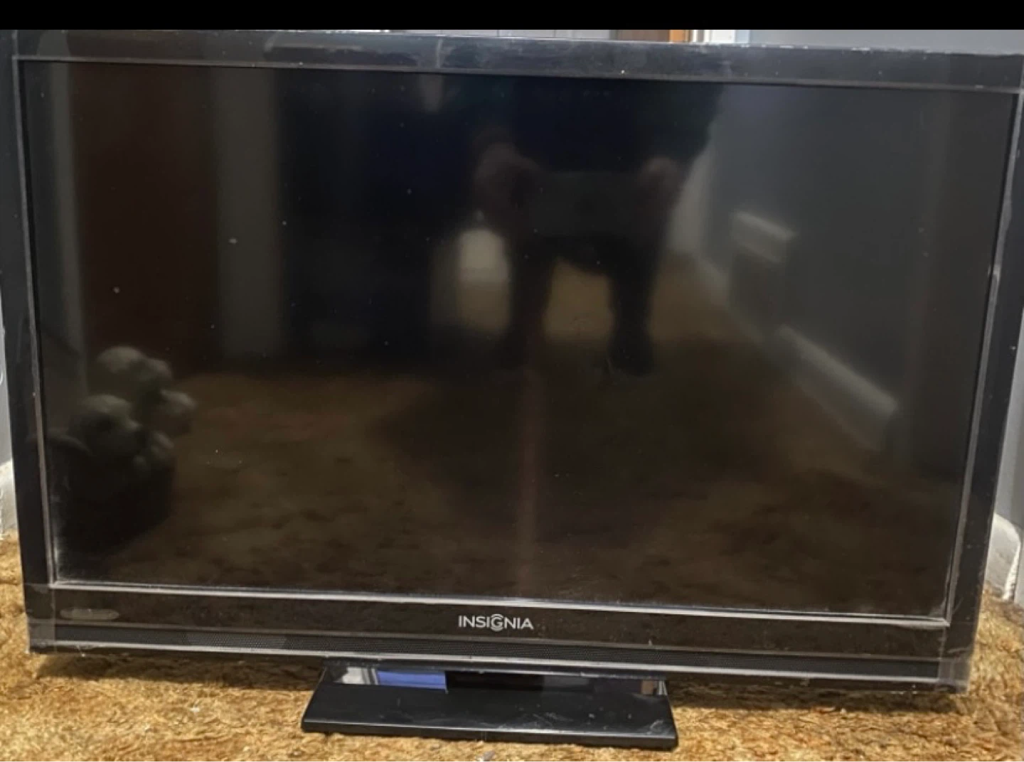 🌱  29" Insignia HDTV 720p – Great Condition with Remote & Stand