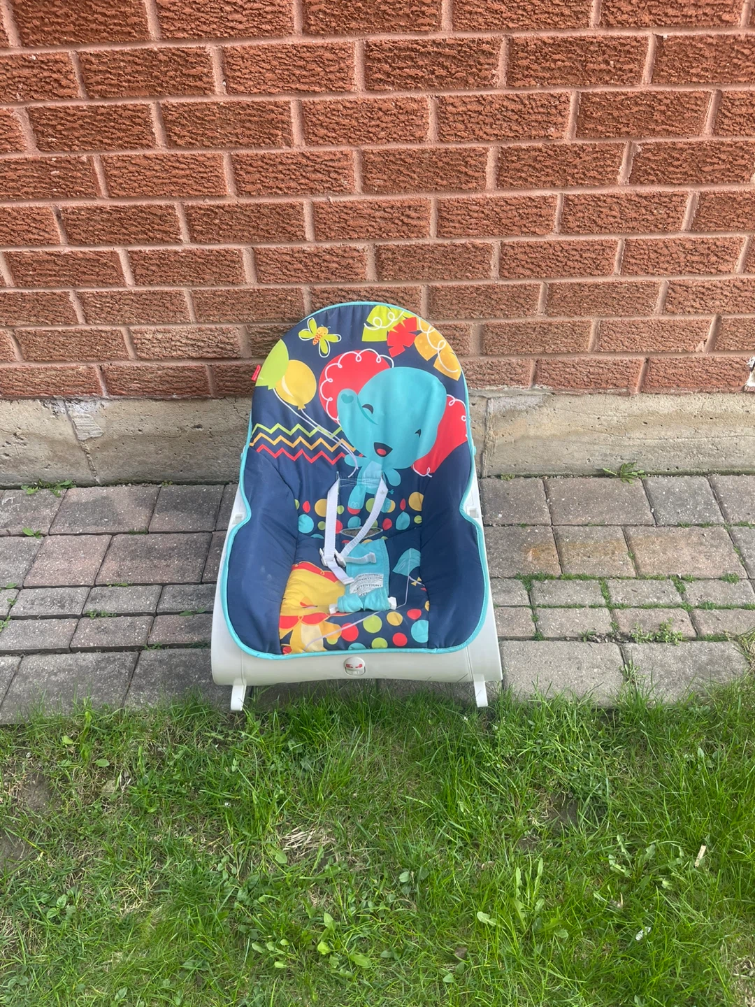 Baby Bouncer Seat