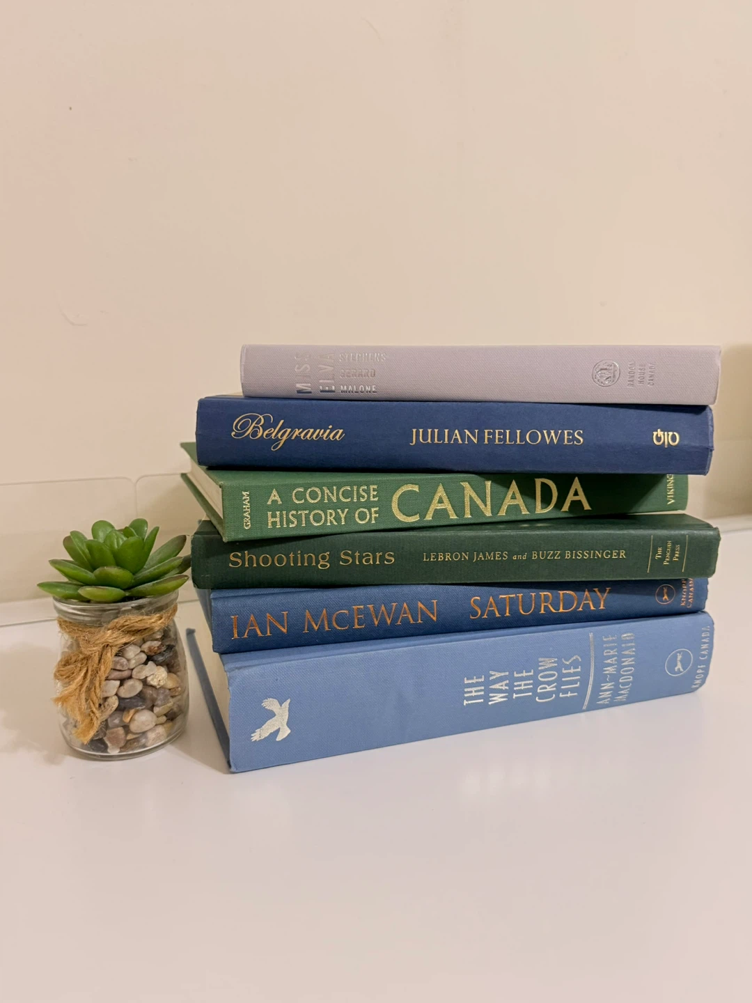 BUNDLE Aesthetic Books (Set of 6 Books)