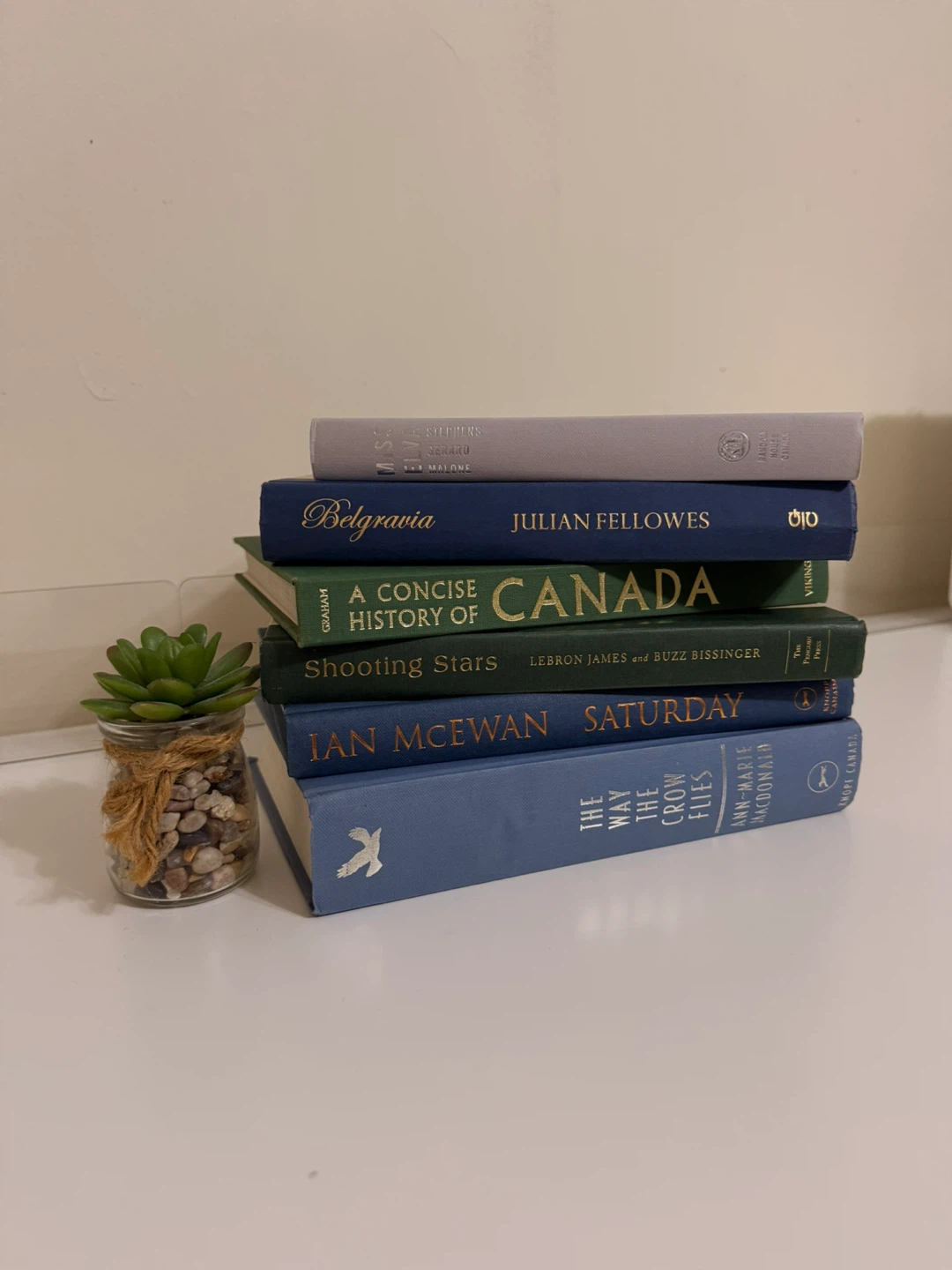 BUNDLE Aesthetic Books (Set of 6 Books) - photo 3