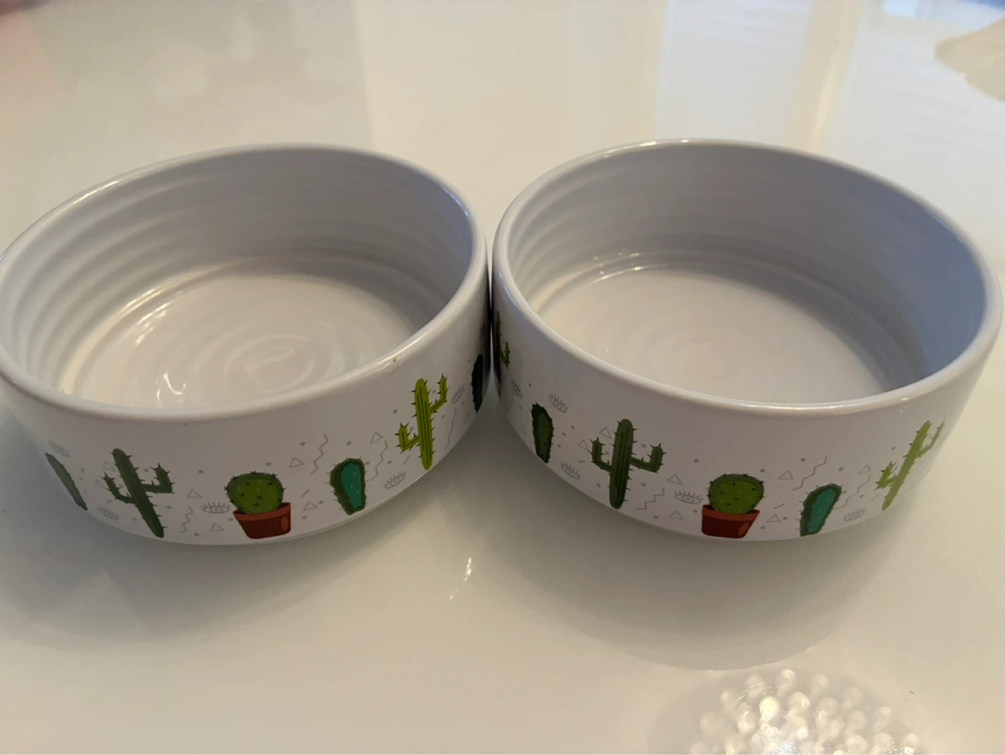 Top Paw Cactus Print Pet Bowls (Set of 2)