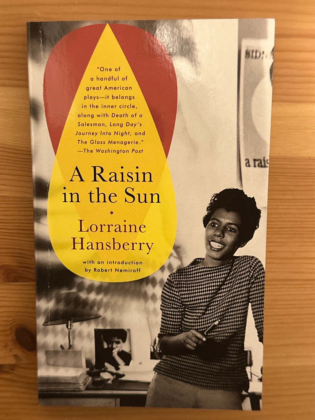 A Raisin in the Sun by Lorraine Hansberry