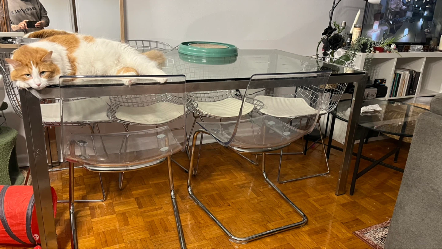 Glass Top Dining Table with Metal chrome Frame - 65" x 36" x 30" - photo 3