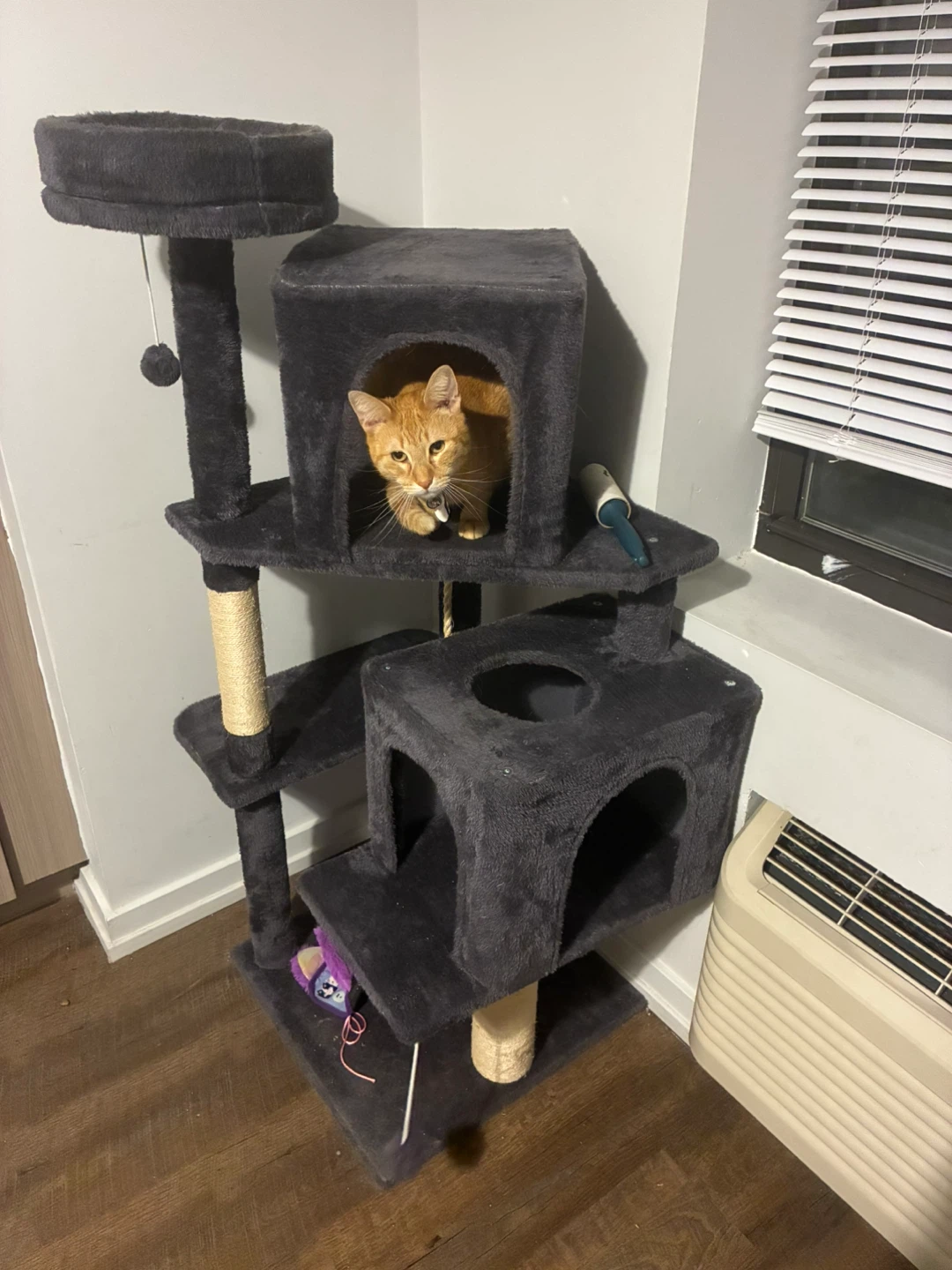 Dark Gray Cat Tree with Multiple Levels (pickup on June 12 only)