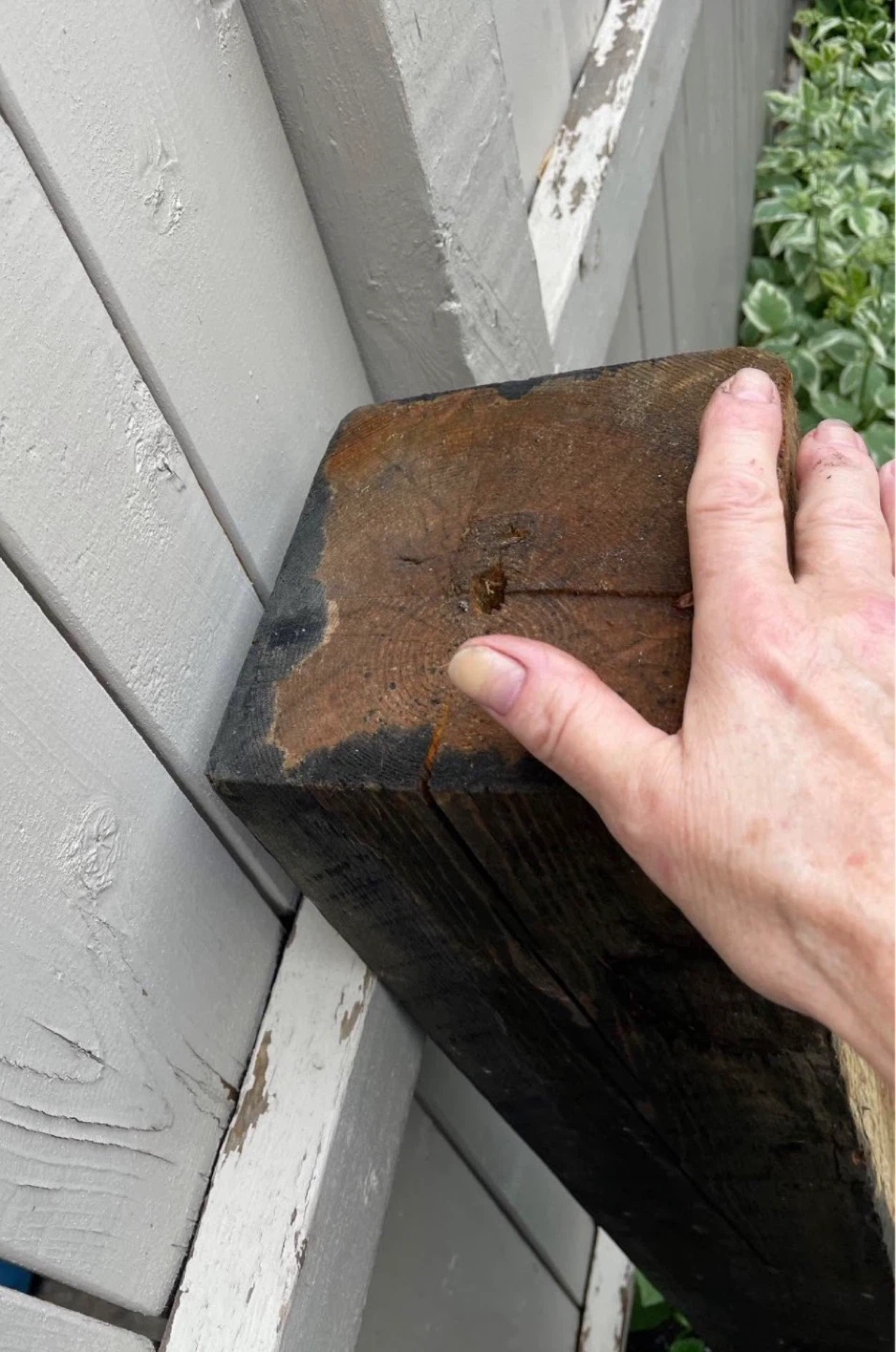 Wooden Post - photo 2