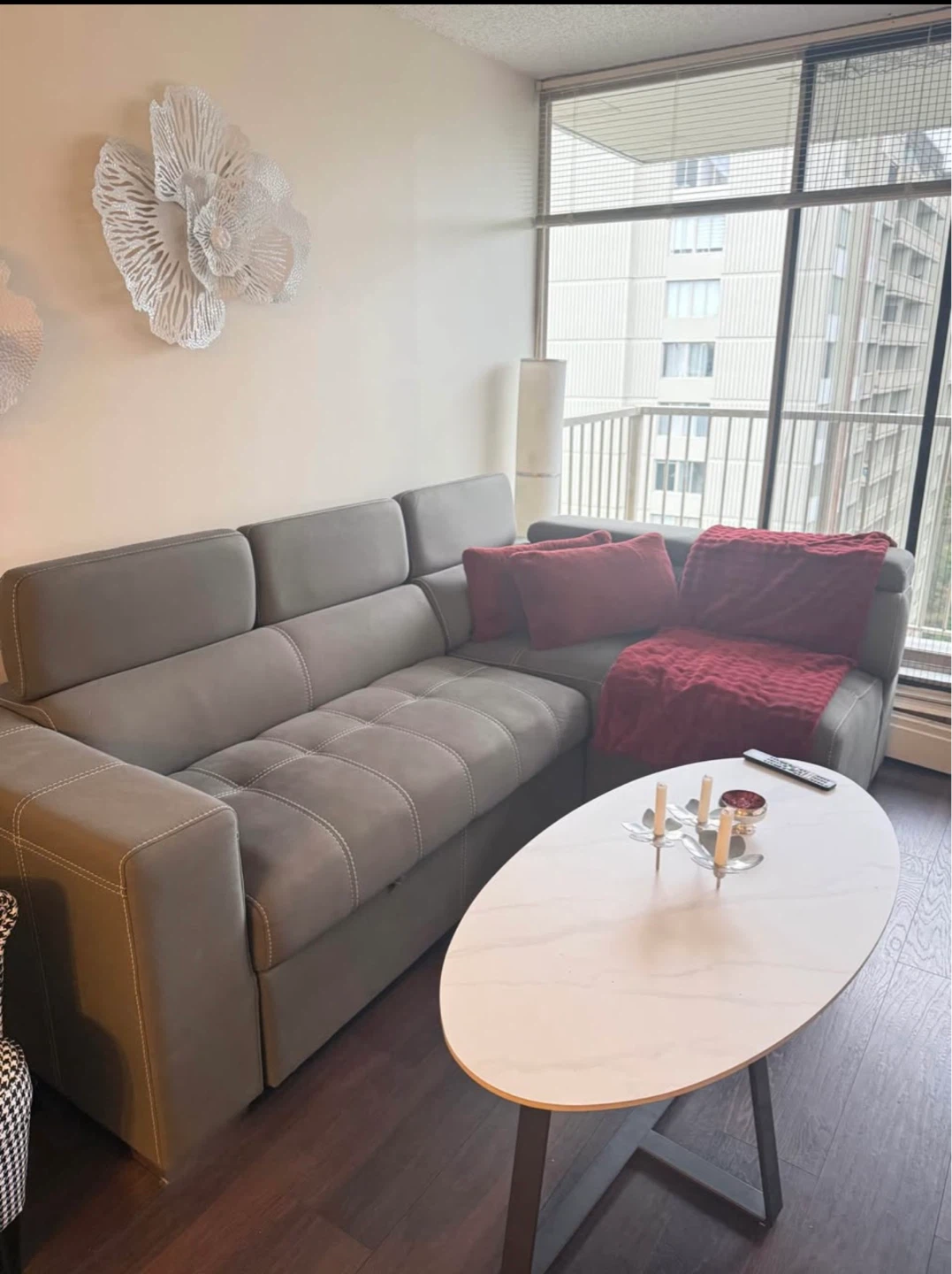 Grey Sectional Sofa bed