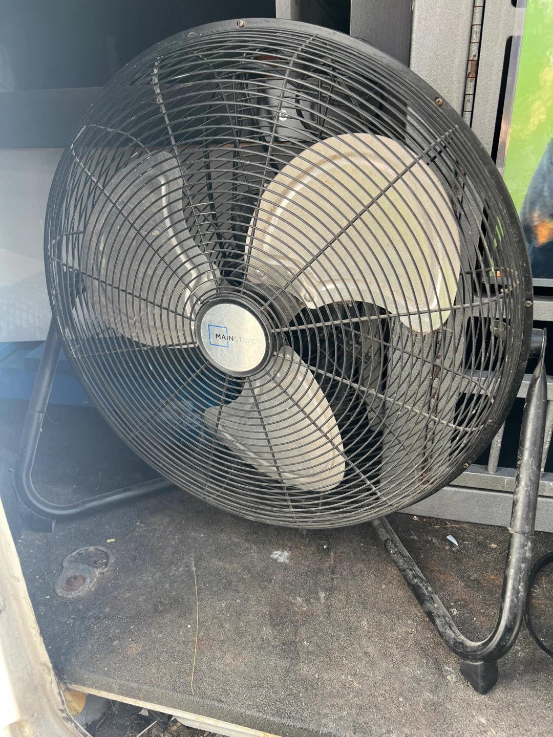 Fan