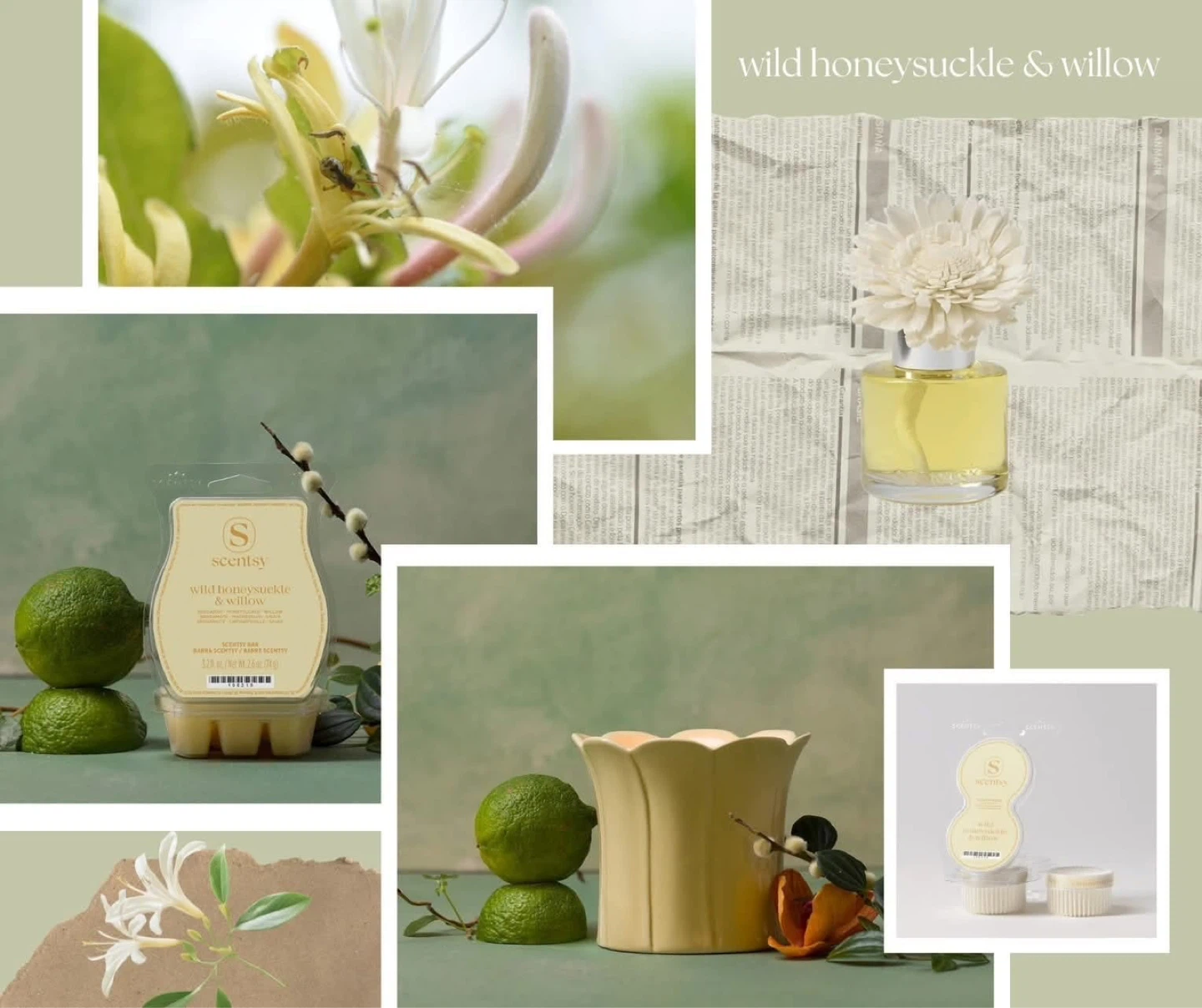 Scentsy Honeysuckle & Willlow Leaves Collection!