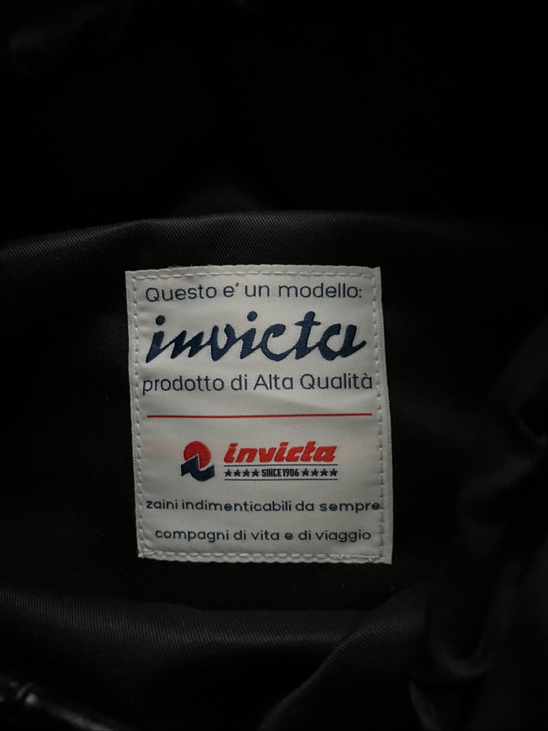 BNWT Invicta Jolly Travel Patch Backpack - photo 4
