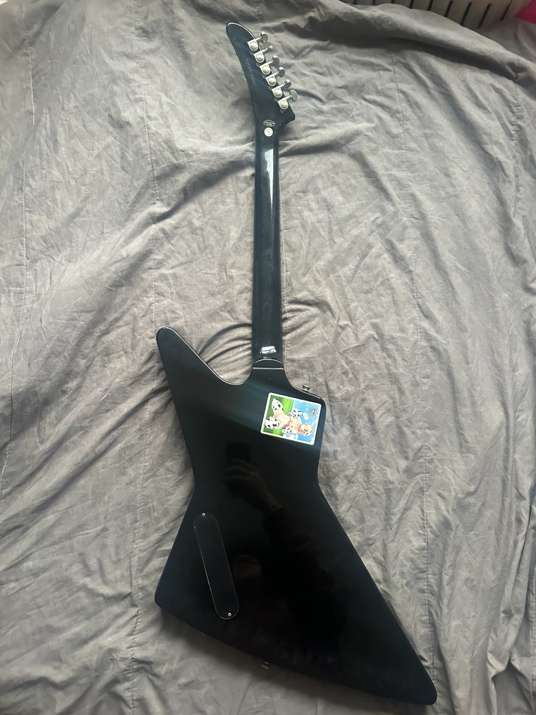 My personal guitar rig - photo 3