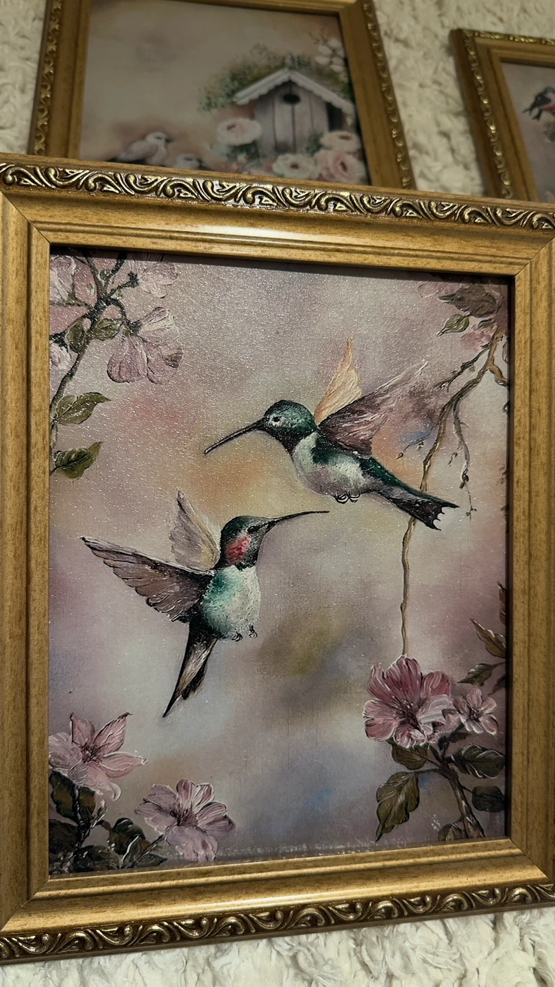 Framed Artwork - Set of 5 Vintage Floral & Bird Prints - photo 3