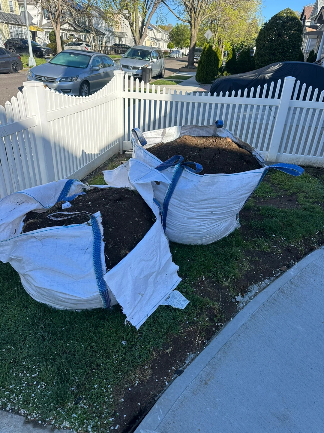 Free soil