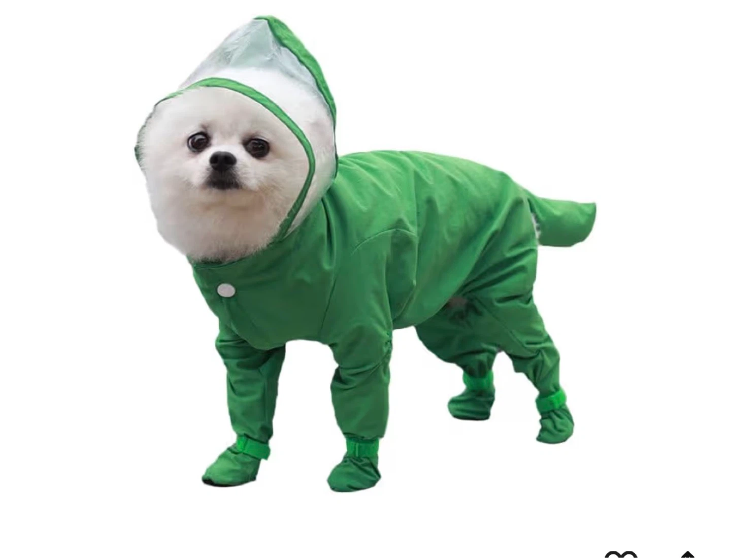 Green Dog Raincoat with Hood
