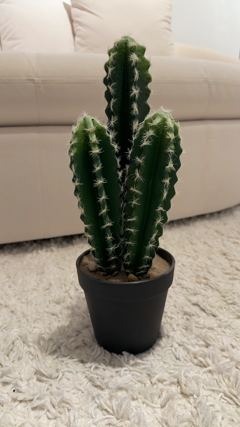 Artificial Cactus Plant in Black Pot (Structube)