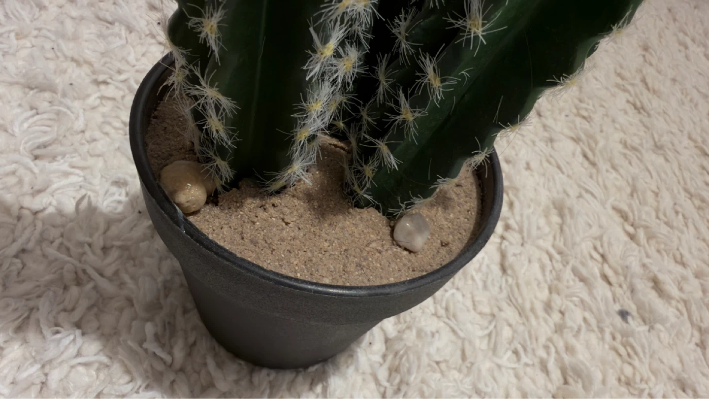 Artificial Cactus Plant in Black Pot (Structube) - photo 2