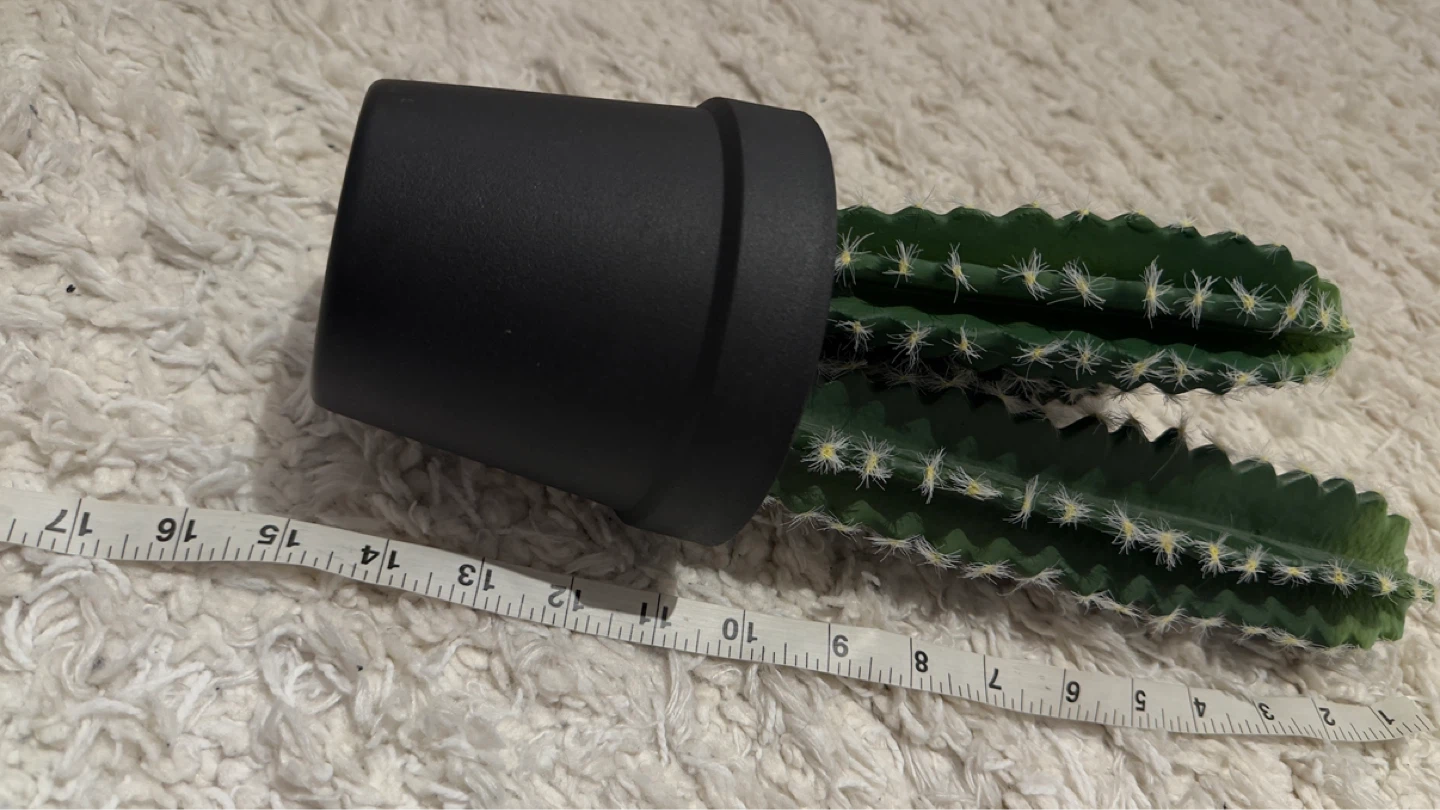 Artificial Cactus Plant in Black Pot (Structube) - photo 3