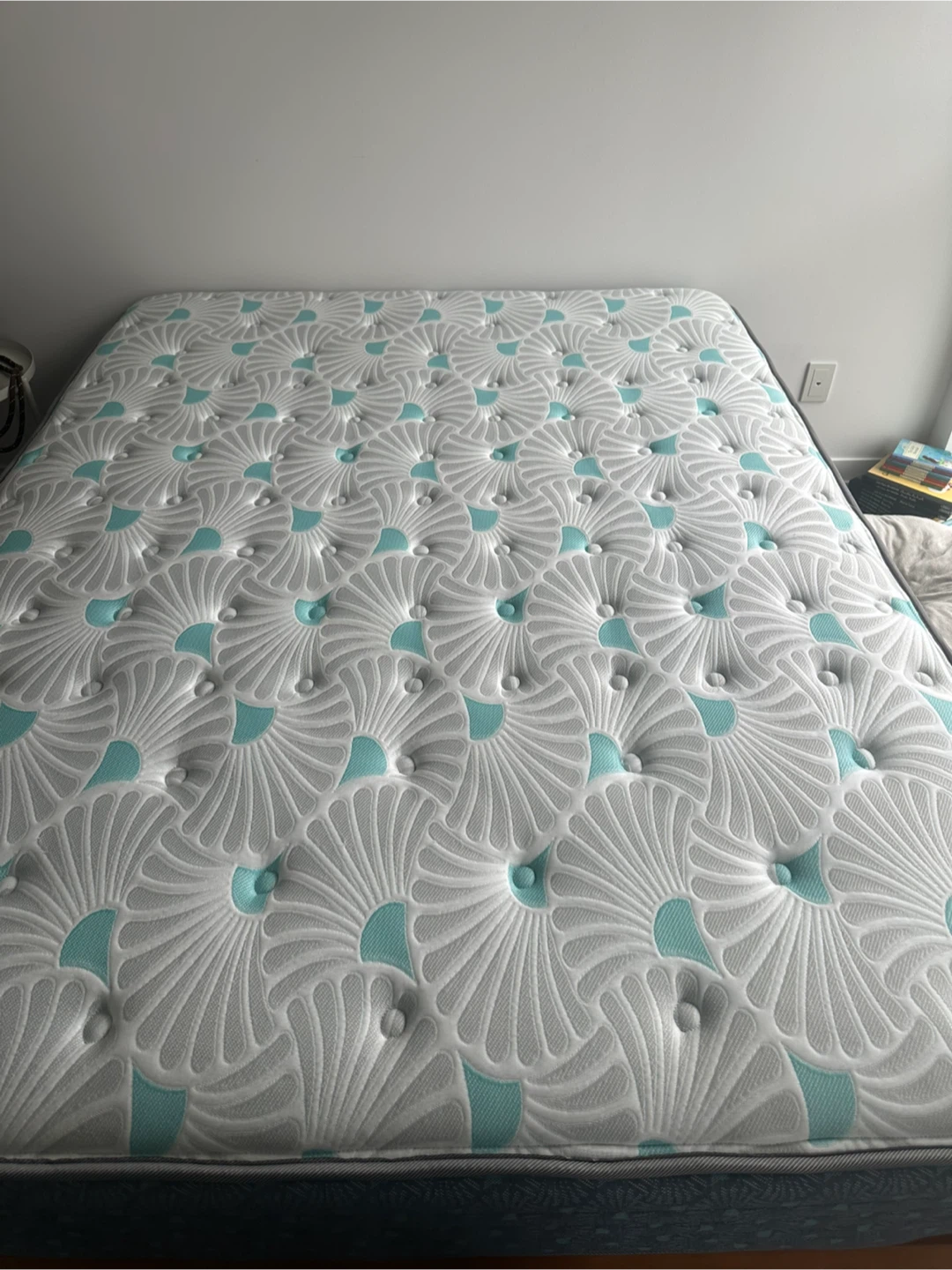 Sealy Posturepedic Luxury Crown Jewel Resort Cabo Queen Mattress - photo 3