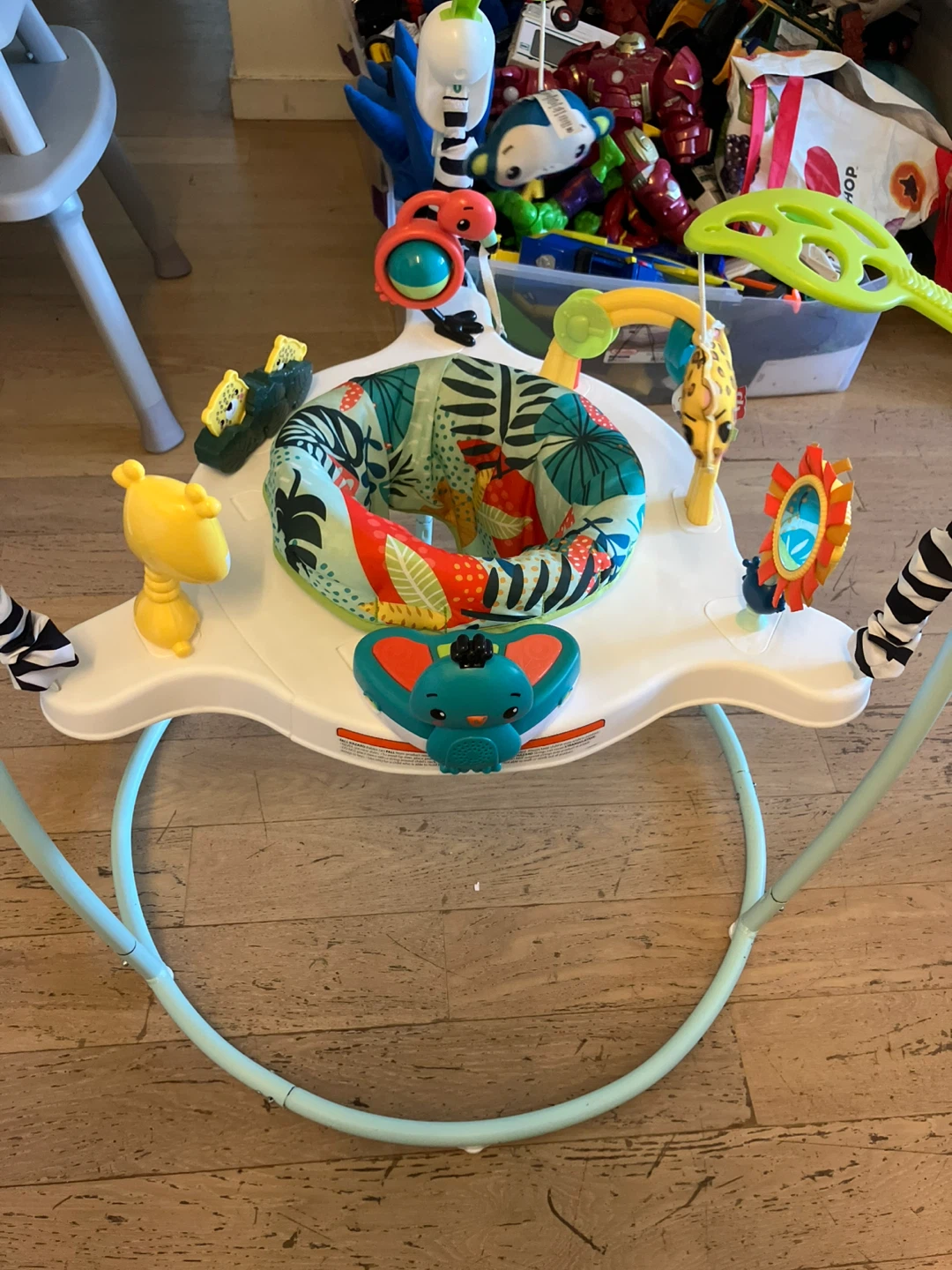 Fisher-Price Jumperoo Baby Activity Center
