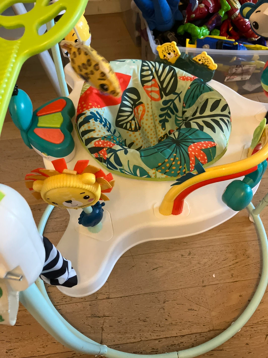Fisher-Price Jumperoo Baby Activity Center - photo 2
