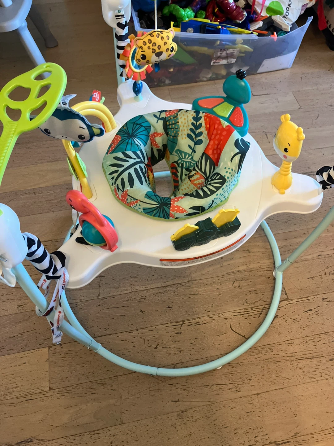 Fisher-Price Jumperoo Baby Activity Center - photo 3