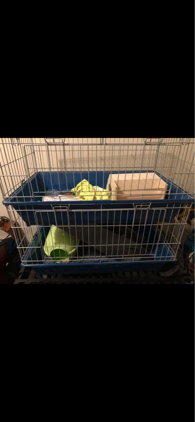 Two-Tiered Pet Cage with Blue Trays