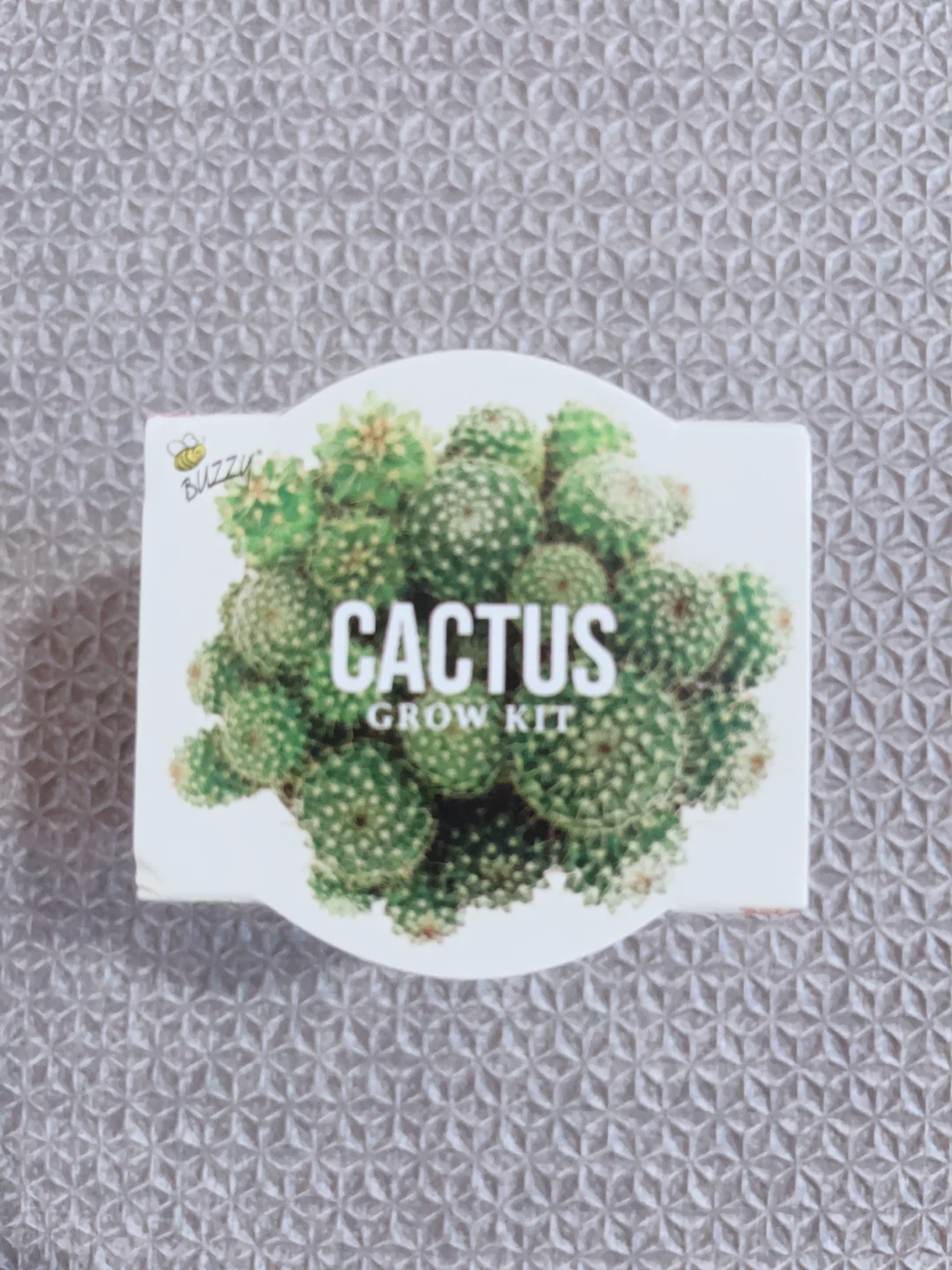 🌱 Buzzy Cactus Grow Kit - photo 2