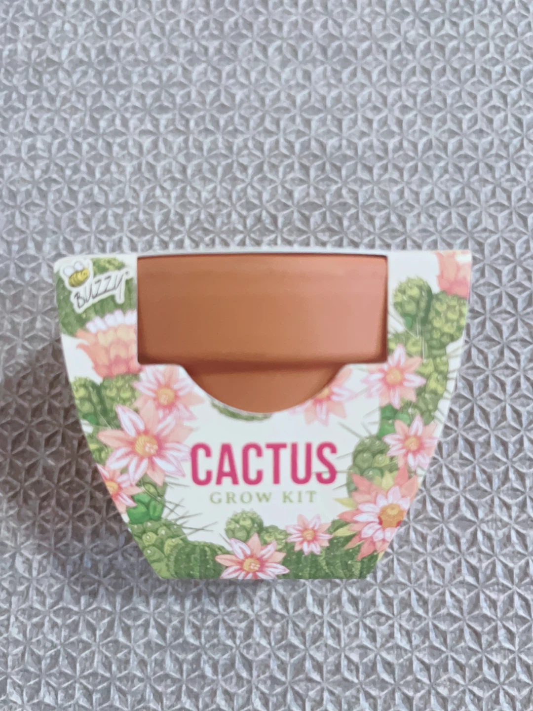 🌱 Buzzy Cactus Grow Kit