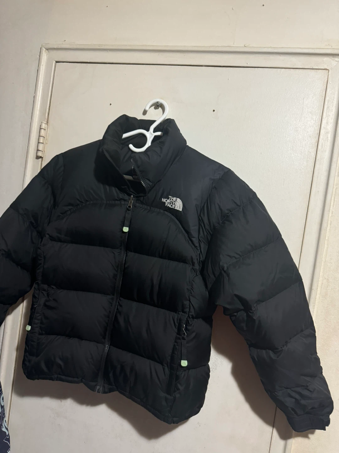 The North Face 700 Fill Down Puffer Jacket