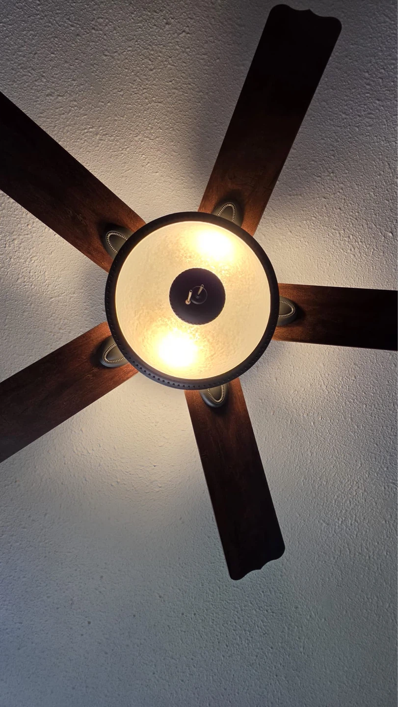Hunter Ceiling Fan with Remote - photo 3