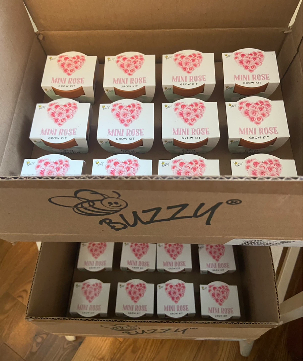 🌱 BUZZY Mini Rose Grow Kit - 12 Pack