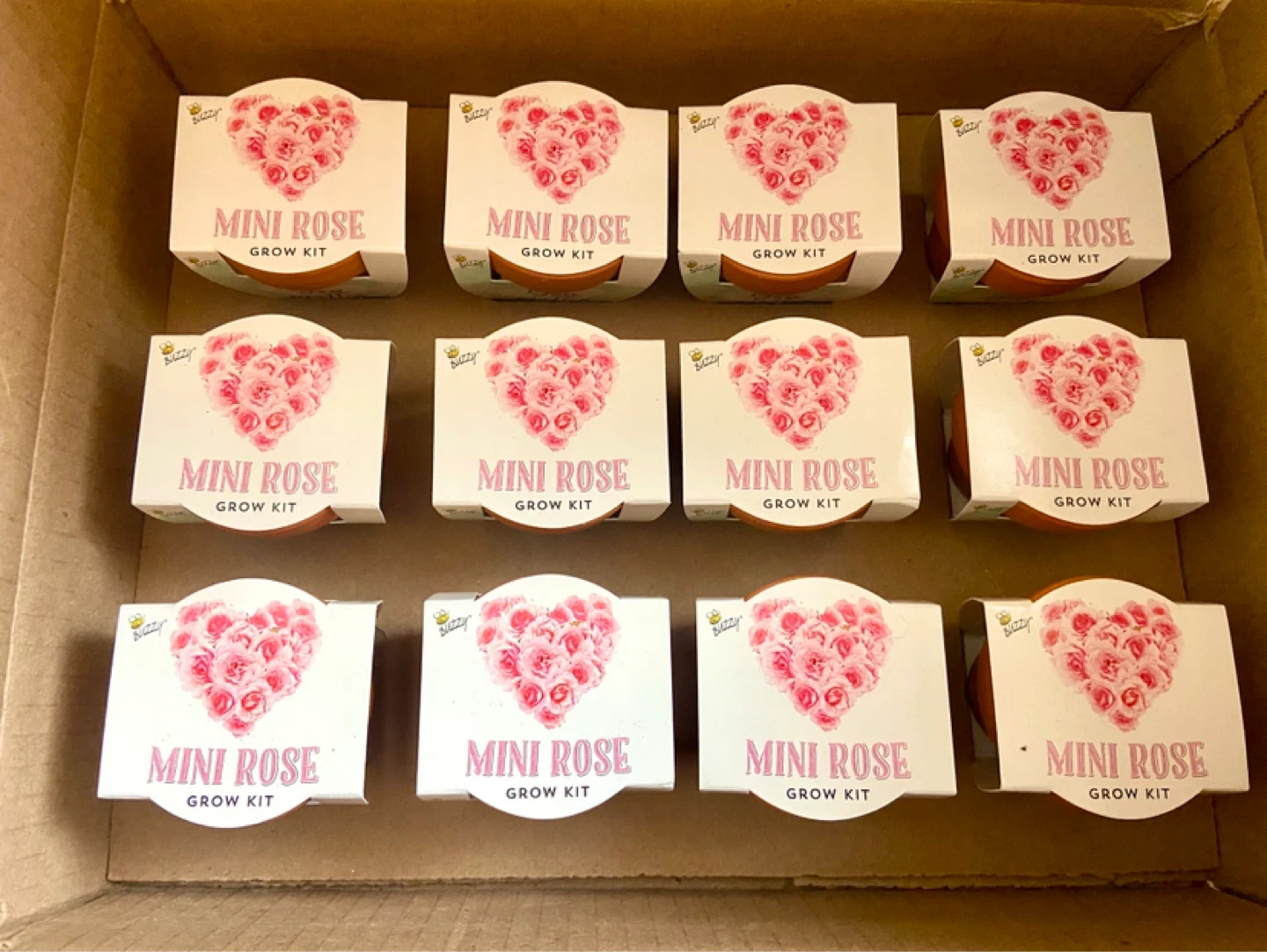🌱 BUZZY Mini Rose Grow Kit - 12 Pack - photo 2