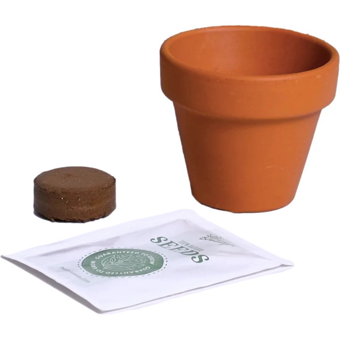 🌱 BUZZY Mini Rose Grow Kit - 12 Pack - photo 3
