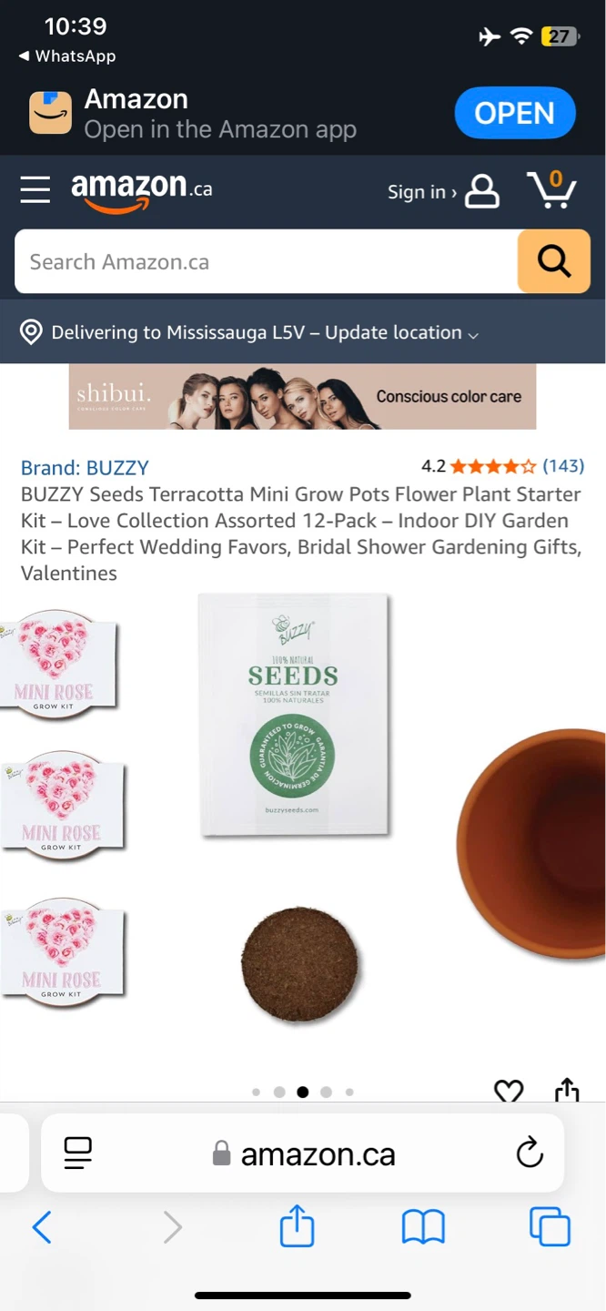 🌱 BUZZY Mini Rose Grow Kit - 12 Pack - photo 4