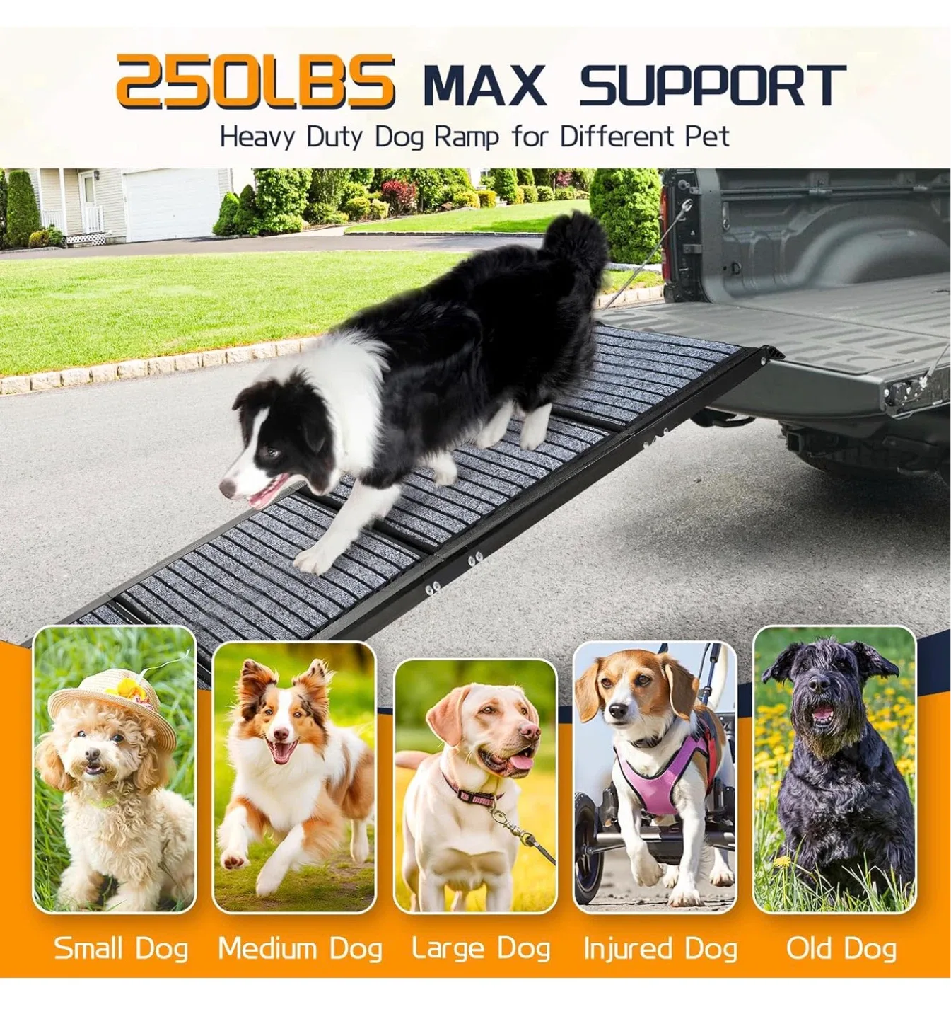 Heavy Duty Dog Ramp - Max Support 250lbs - photo 3