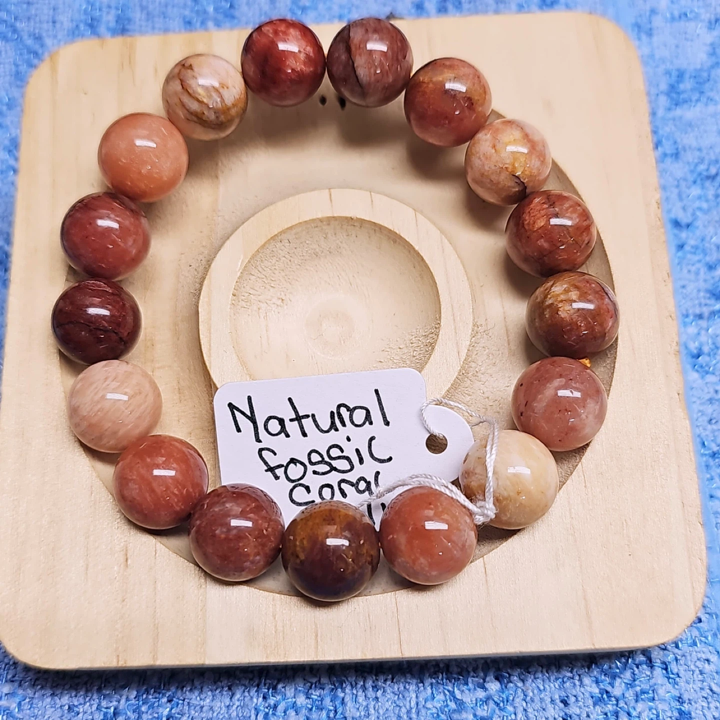 Natural Fossil Coral Beaded Bracelet 12.5mm