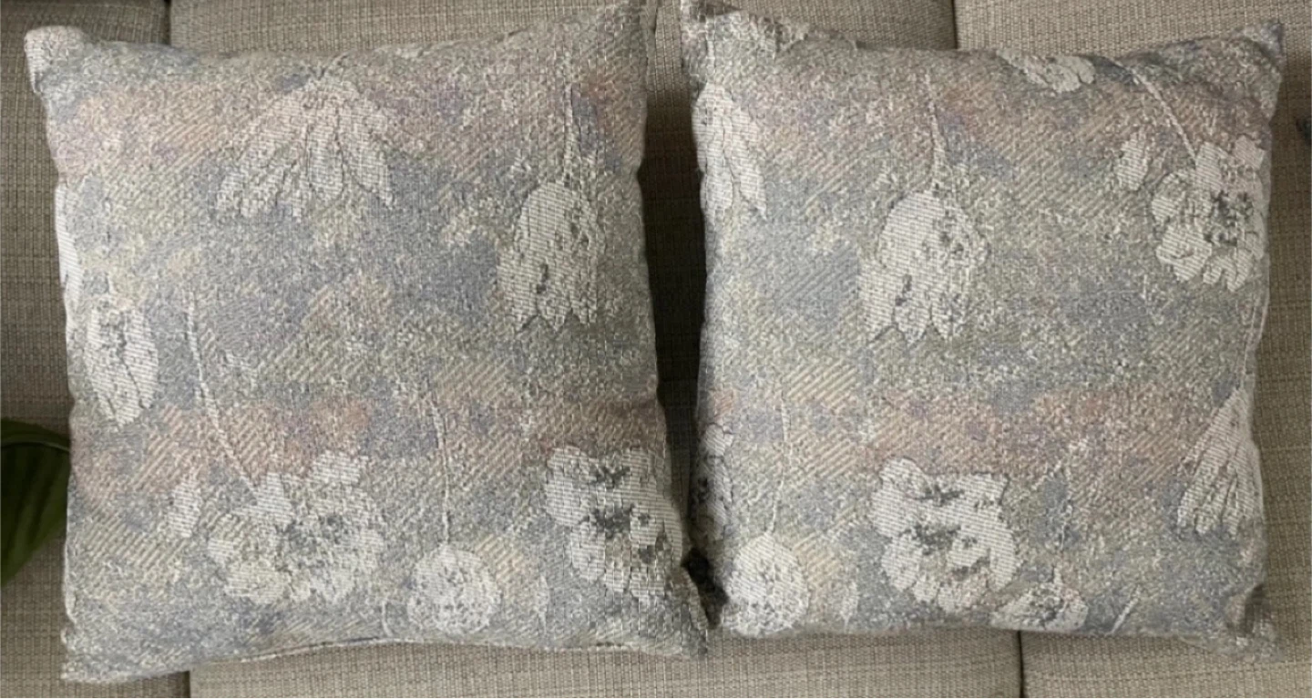 🌱 Set of Two Square Decorative Throw Pillows (Cushions)
